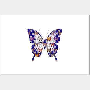 Butterflies Variation 07B Posters and Art